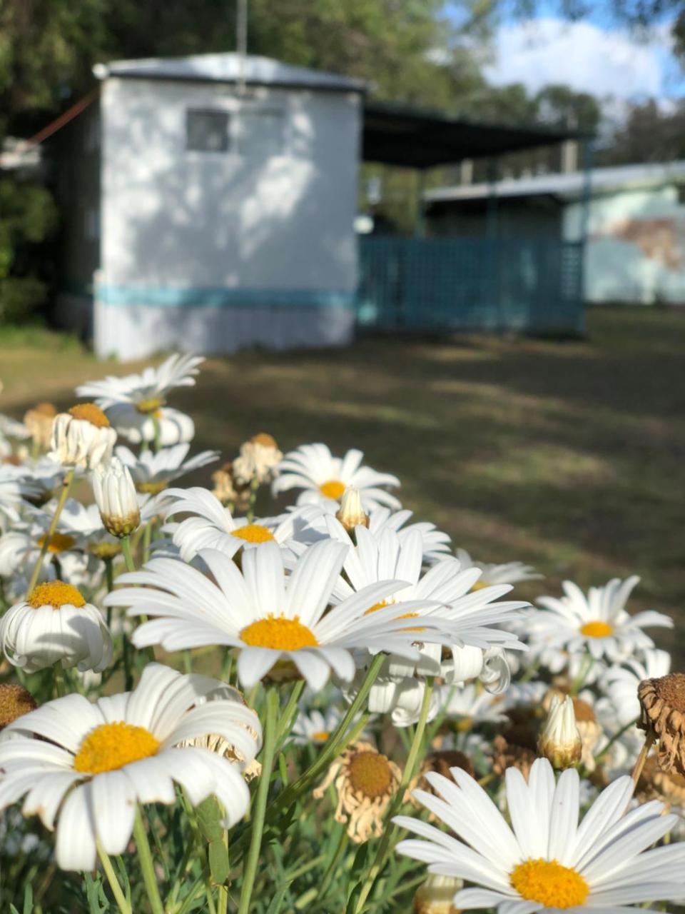 Lazy Days Caravan Park Vasse Exterior foto